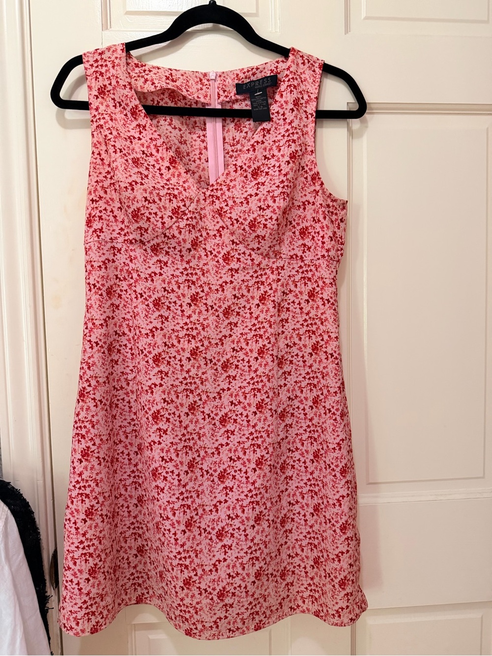 Express Pink Red Floral Fit-and-Flare Mini Dress